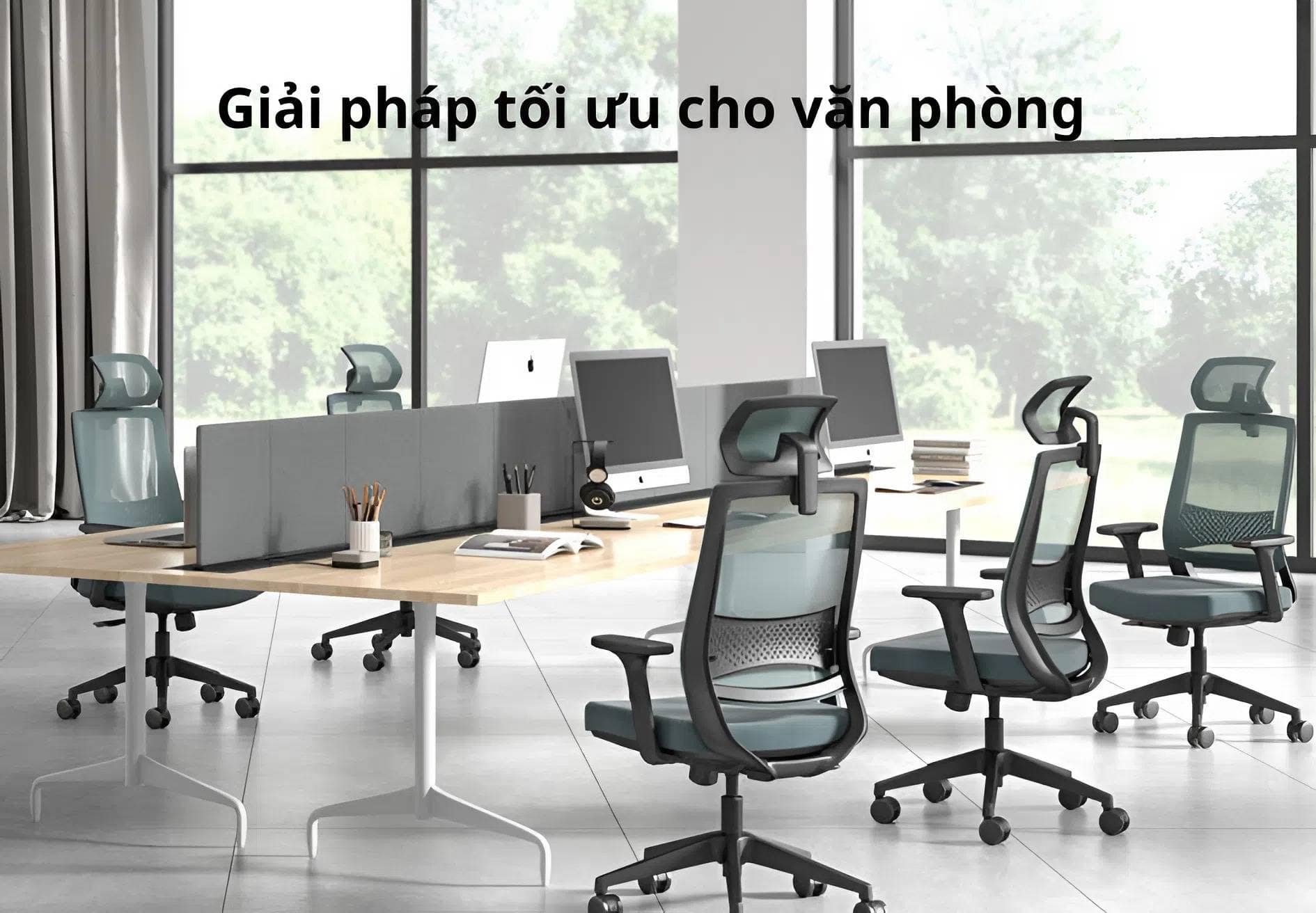 Ghế Công Thái Học 1