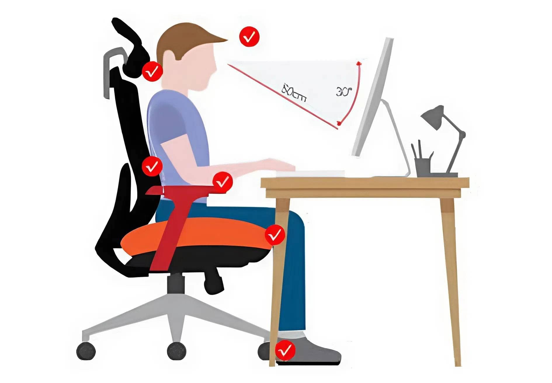 Ghế Công Thái Học 2