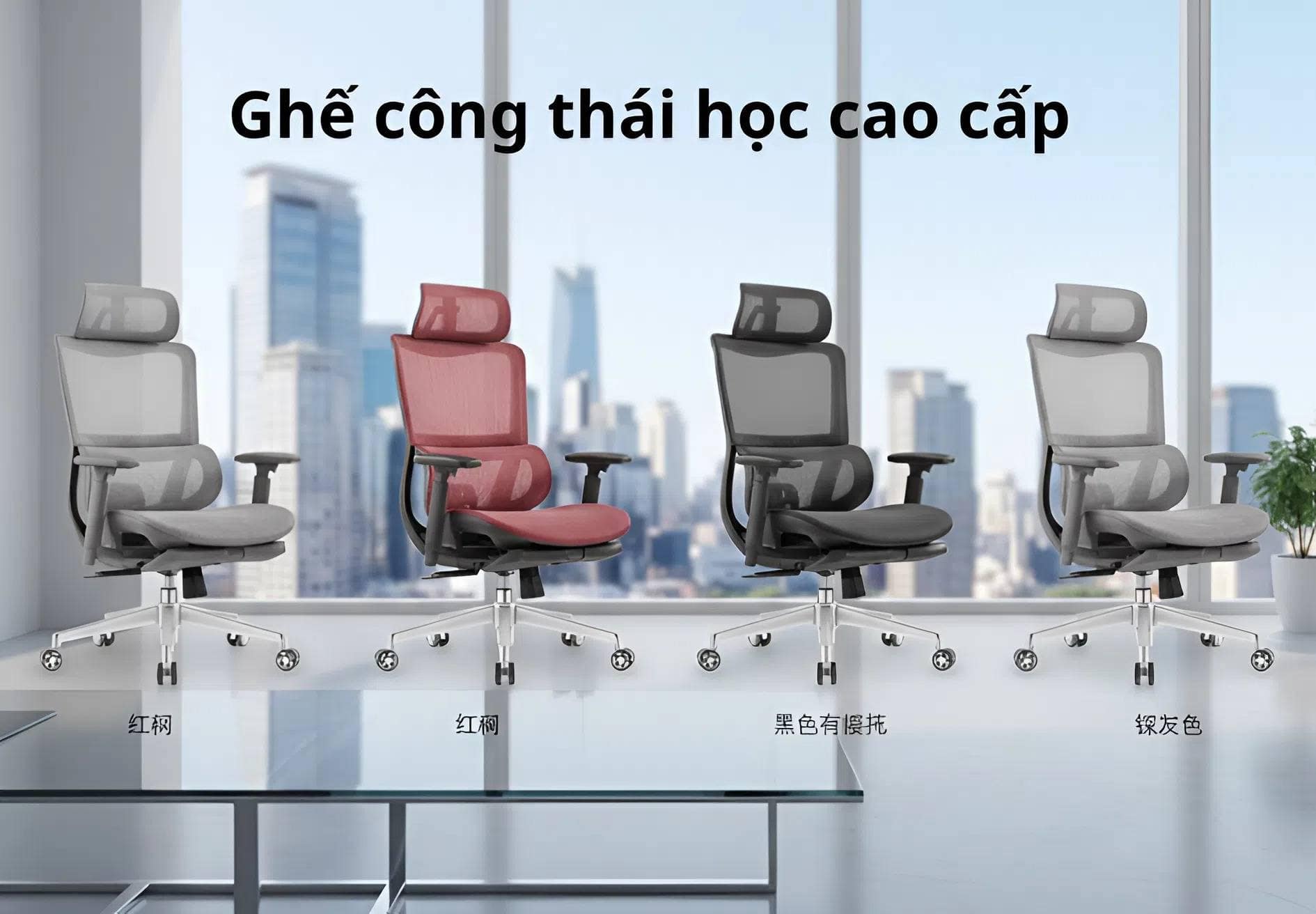 Ghế Công Thái Học